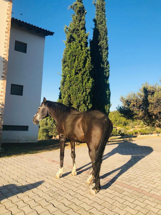 Elena'S Country Home & Spa Kalithies Dış mekan fotoğraf