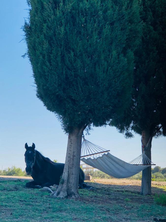 Elena'S Country Home & Spa Kalithies Dış mekan fotoğraf