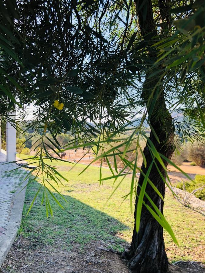 Elena'S Country Home & Spa Kalithies Dış mekan fotoğraf